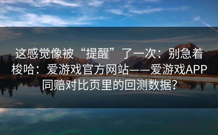 这感觉像被“提醒”了一次：别急着梭哈：爱游戏官方网站——爱游戏APP同赔对比页里的回测数据？