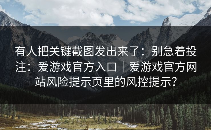 有人把关键截图发出来了：别急着投注：爱游戏官方入口｜爱游戏官方网站风险提示页里的风控提示？