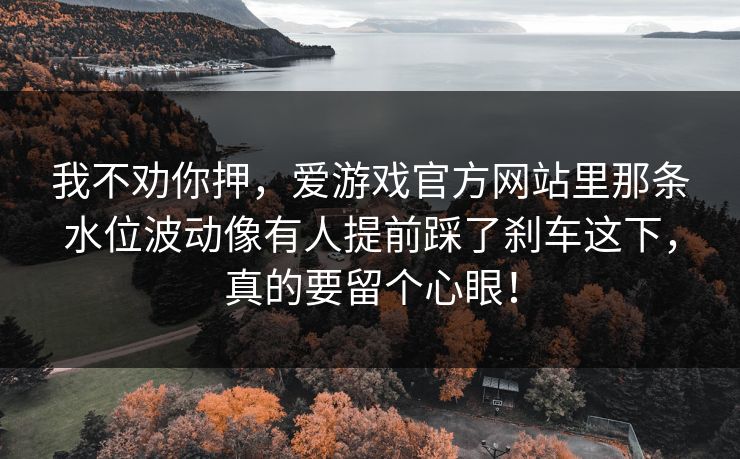 我不劝你押，爱游戏官方网站里那条水位波动像有人提前踩了刹车这下，真的要留个心眼！